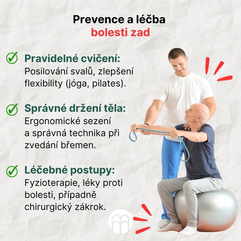 Prevence a léčba bolesti zad